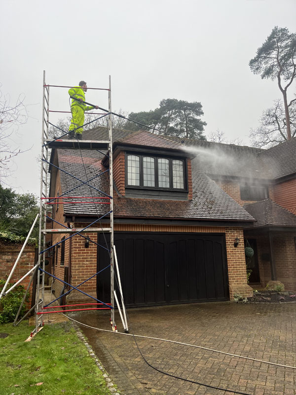 Roof Moss Removal
