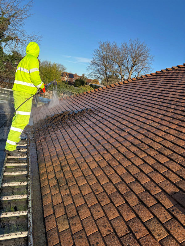 Roof Cleaning