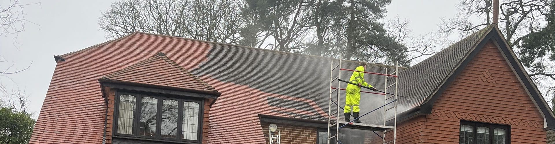 Professional Roof Cleaning Services