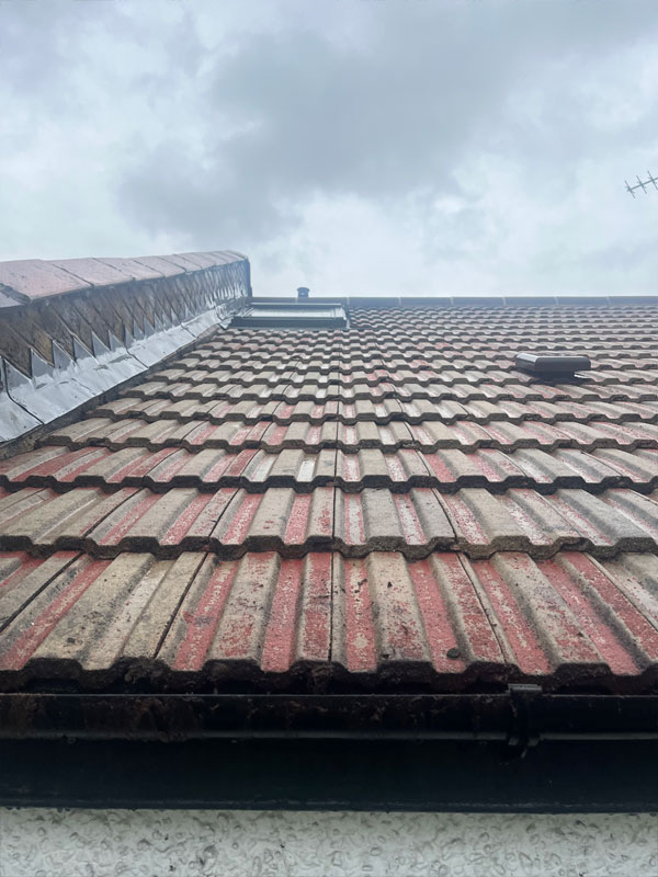 Roof Cleaning