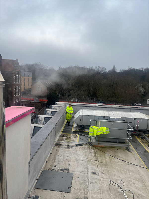 Roof Cleaning