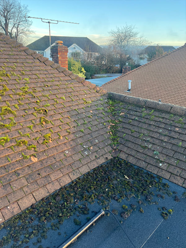 Roof Cleaning