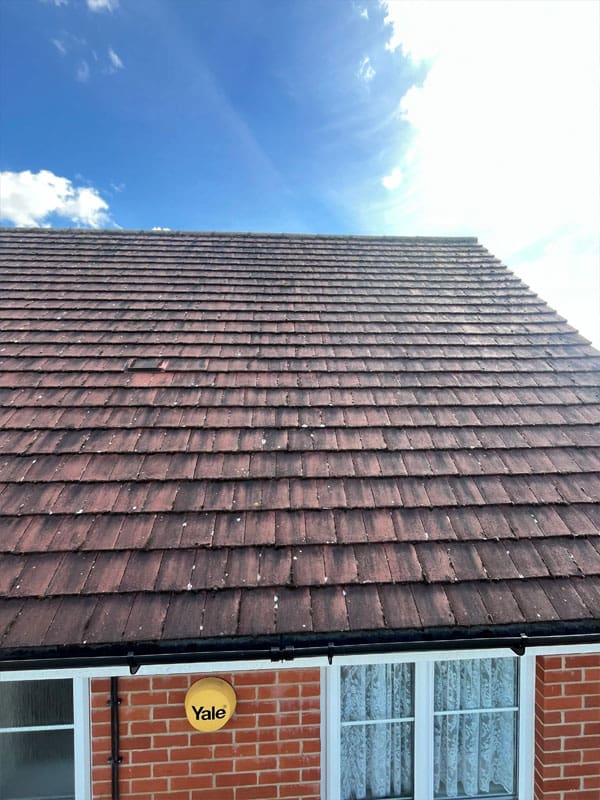 Roof Cleaning