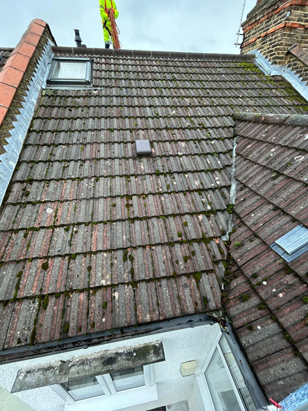 Roof Cleaning