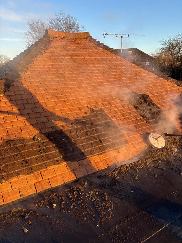 Roof Cleaning