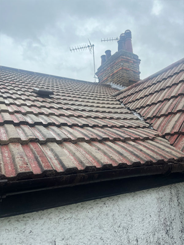 Roof Cleaning