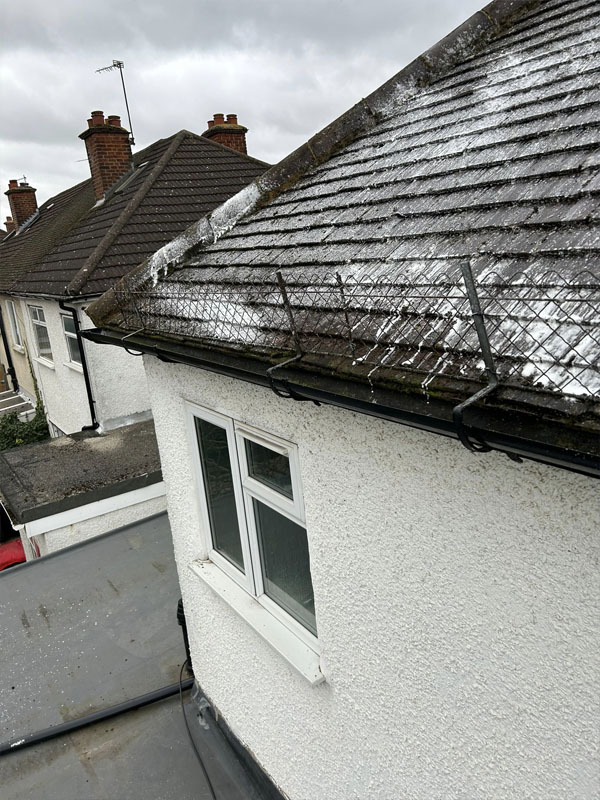 Roof Cleaning