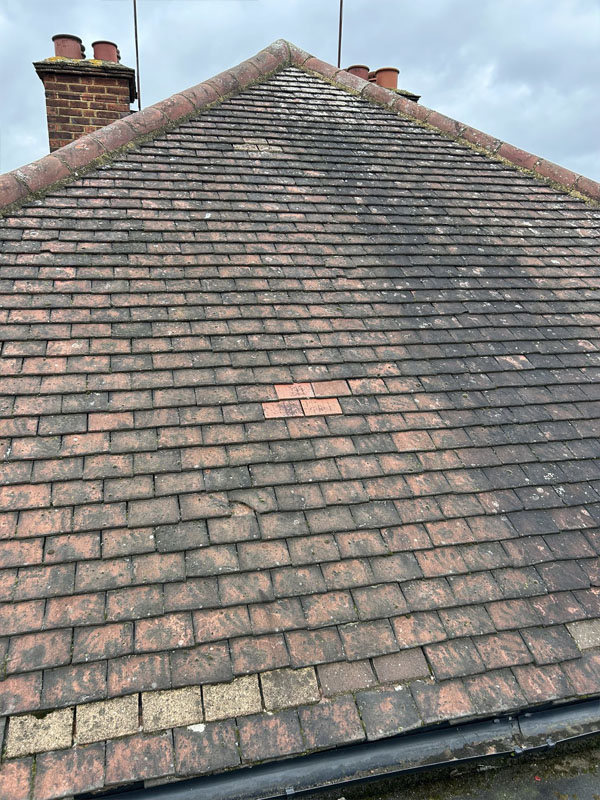 Roof Cleaning